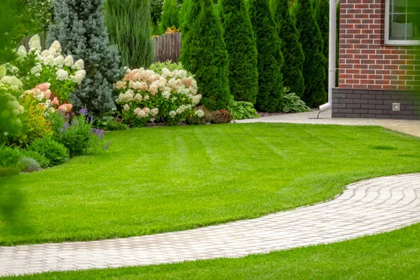 How to Get Chiggers Out Of Your Yard?